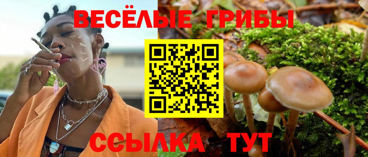 Галлюциногенные грибы мицелий  где купить   Чусовой  Вход с VPN 